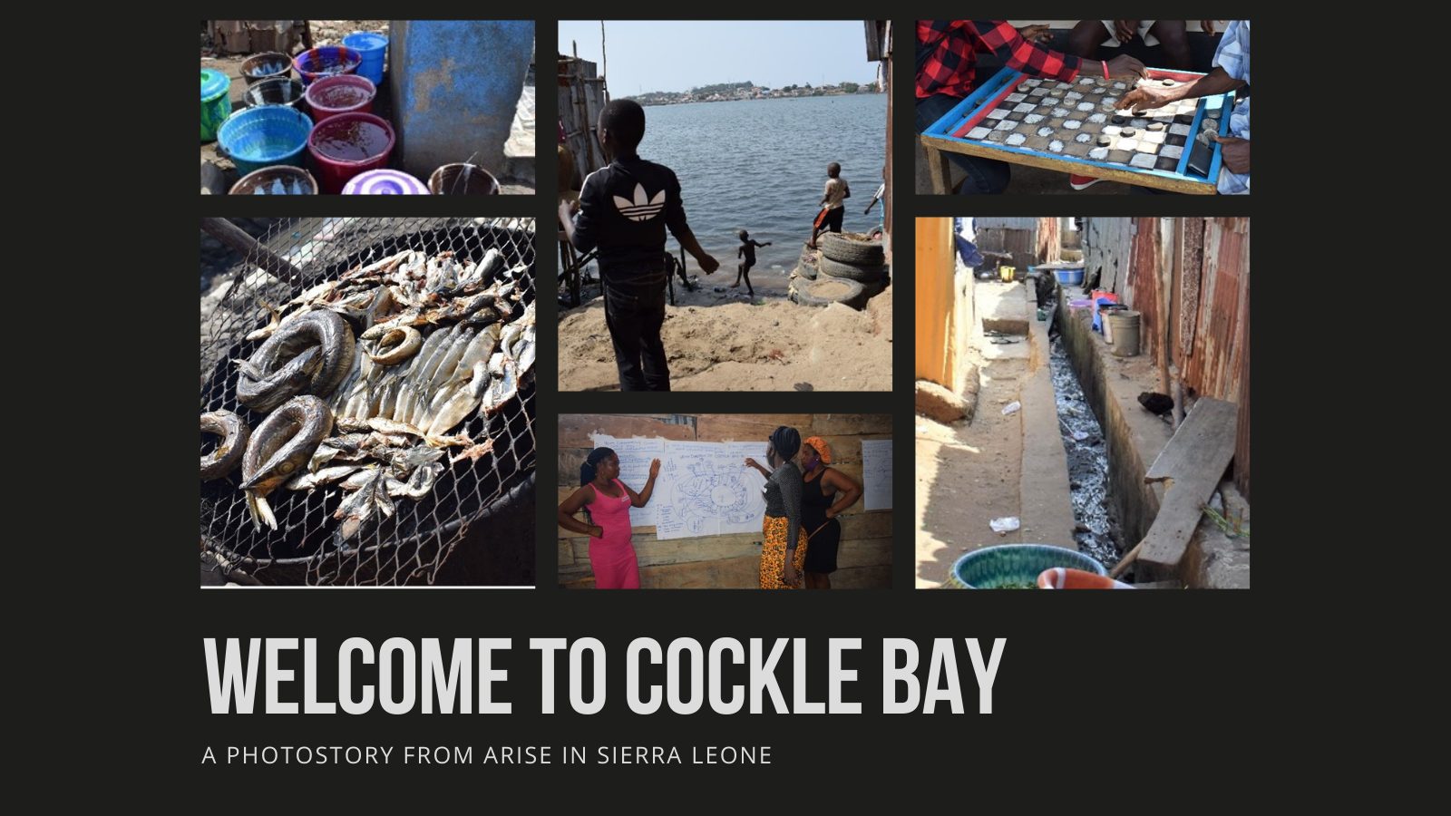 Welcome to Cockle Bay