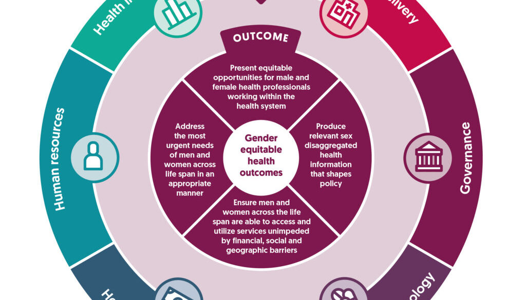 Gender policy health systems diagram