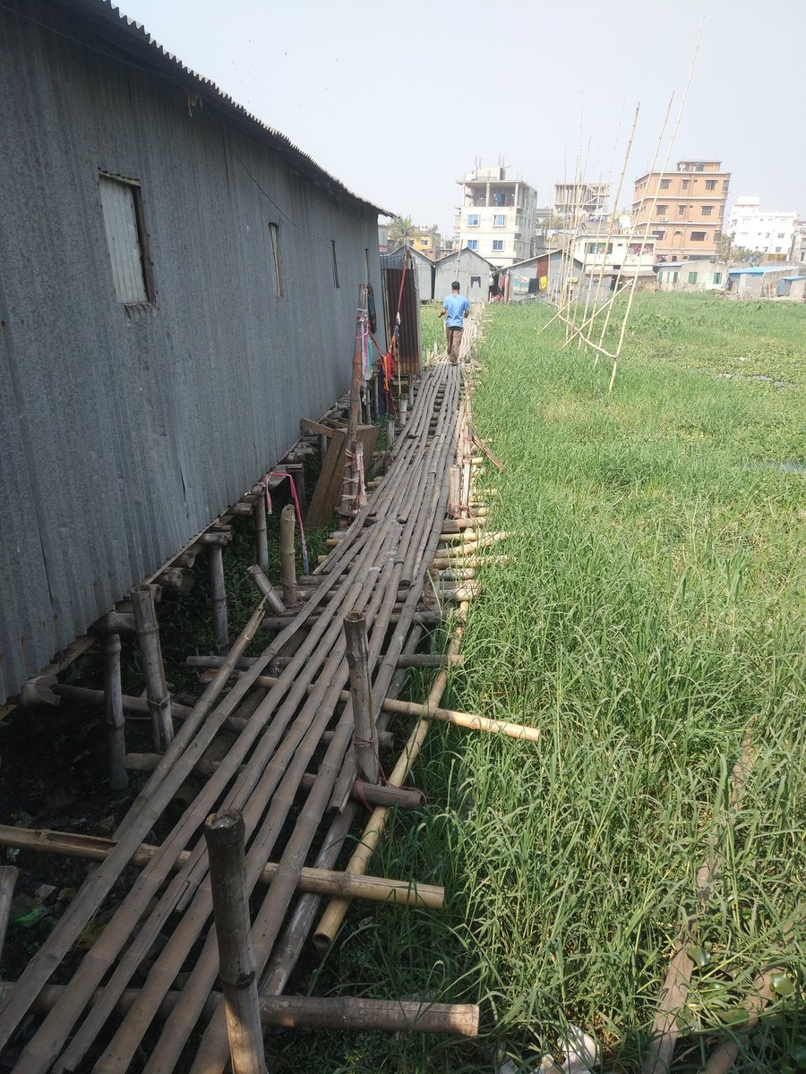 households using a bamboo bridge to walk over waste in informal settlement