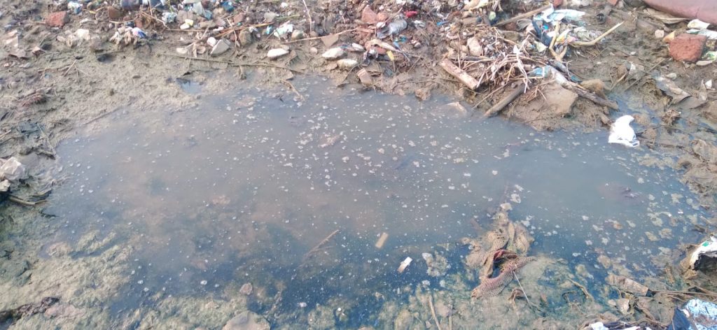 Stagnant pool of water surrounded by rubbish