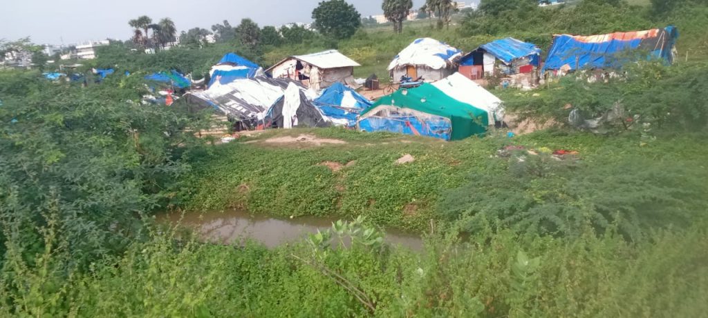 Pond surrounded by vegetation with informal housing in the background